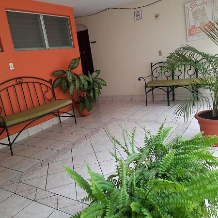 Green Monkey Hostel Flores Zewnętrze zdjęcie