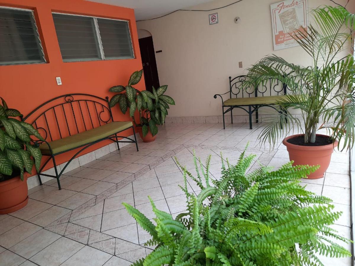 Green Monkey Hostel Flores Zewnętrze zdjęcie